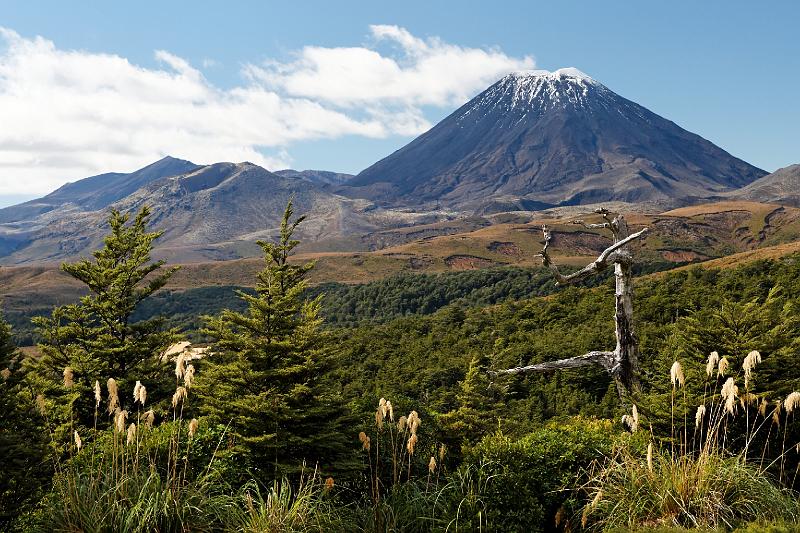 2007 04 19 Tongariro NP 079_DXO.jpg